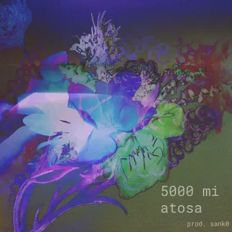 5000 Mi by Atosa