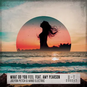 What Do You Feel by Amy Pearson