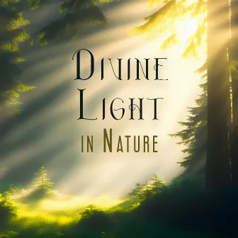 Divine Light in Nature: Feel Powerful to Transform Yourself by Ambient Sounds Collection