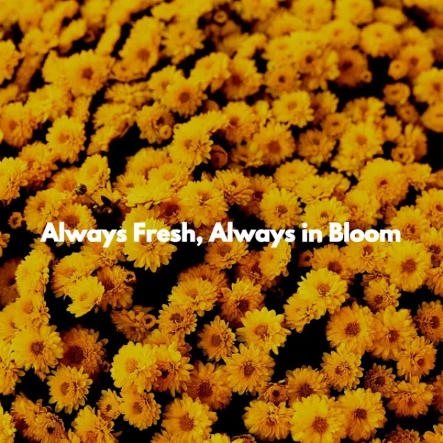 Always Fresh, Always in Bloom