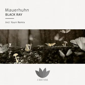 Black Ray by Mauerhuhn