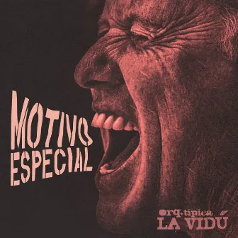 Motivo Especial by Orquesta Típica La Vidú