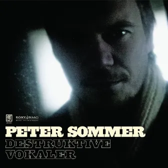 Destruktive Vokaler by Peter Sommer