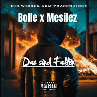 Das sind Fakten by BOLLE