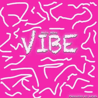 Vibe by Mula Mike