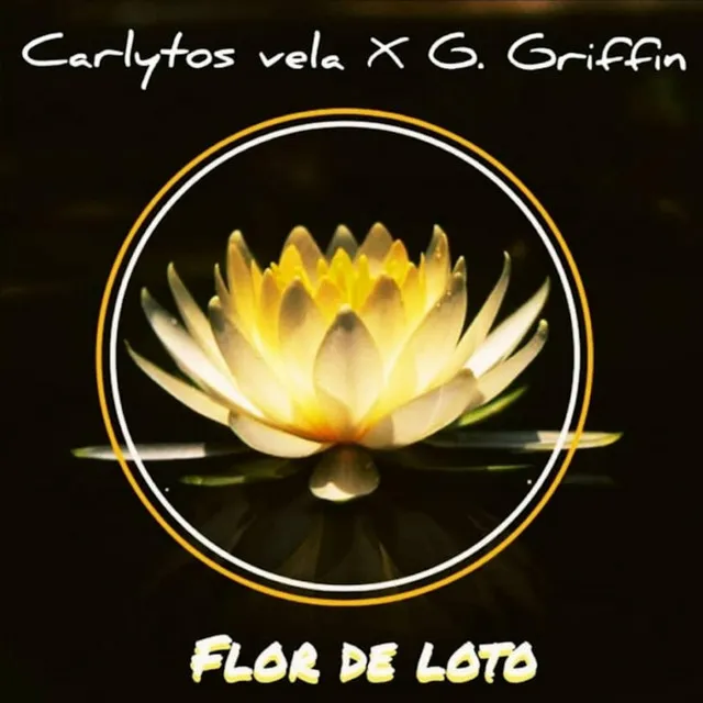 Flor de Loto