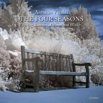 The Four Seasons by Camerata Antonio Lucio