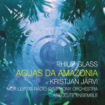 Glass: Aguas da Amazonia by Unknown Artist