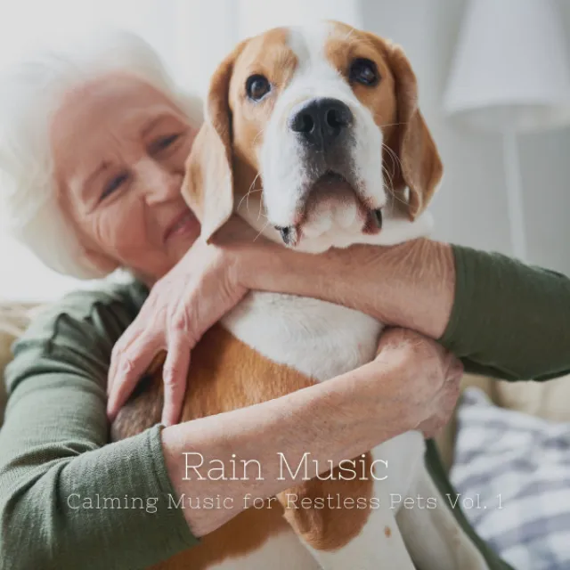 Rain Music: Calming Music for Restless Pets Vol. 1