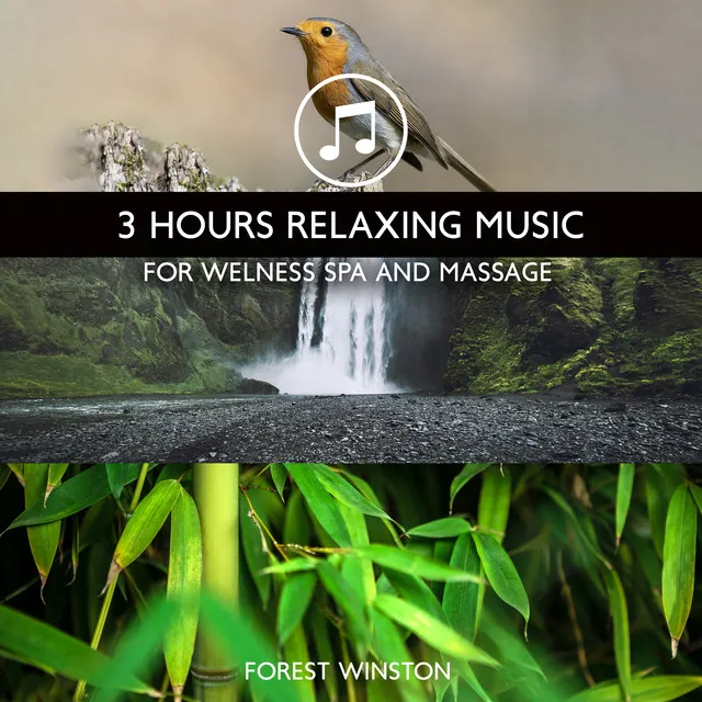 Relaxing Music for Welness Spa & Massage