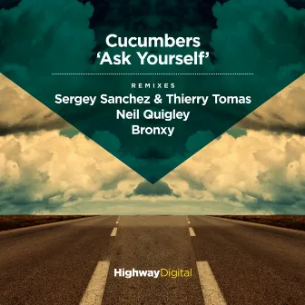 Ask Yourself by Cucumbers