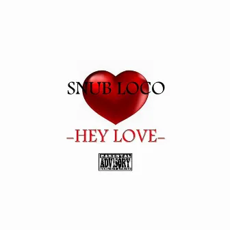 Hey Love by Snub Loco