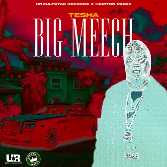 Big Meech by TESHA