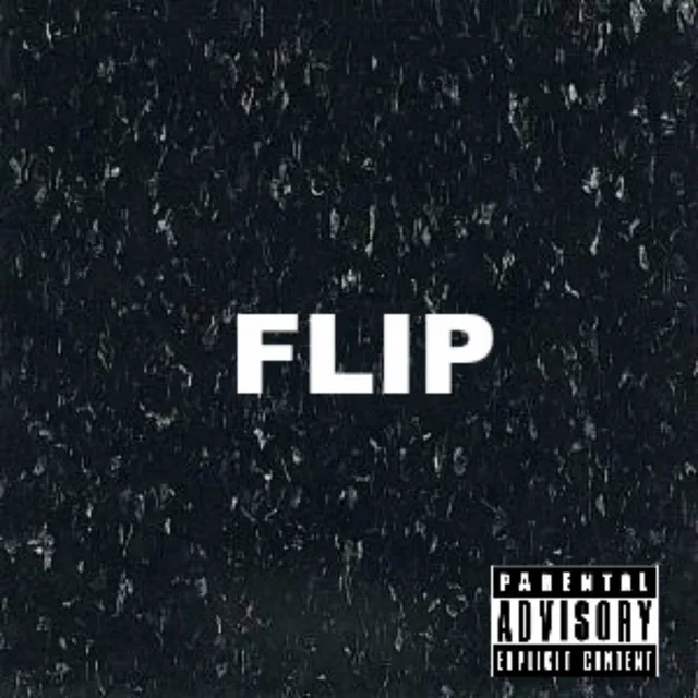 Flip