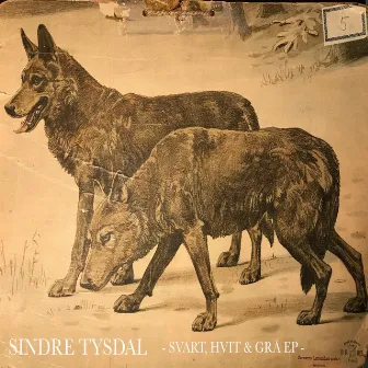 Svart, Hvit & Grå EP by Sindre Tysdal