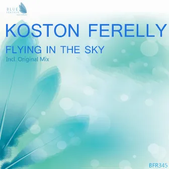 Flying in the Sky by Koston Ferelly