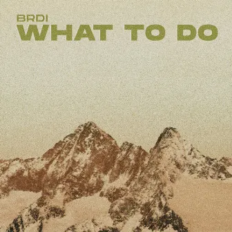 What to Do by BRDI