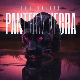 Pantera Negra by Don Cristo