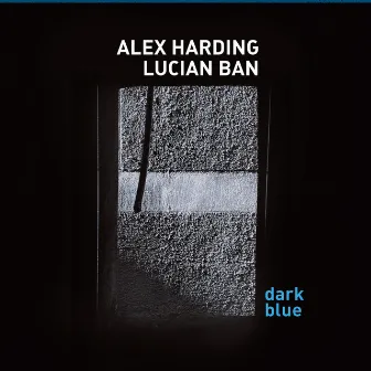 Dark Blue by Lucian Ban