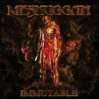 Light The Shortening Fuse by Meshuggah