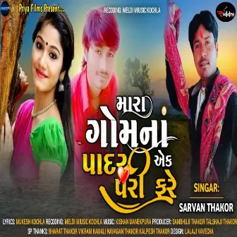 Mara Gomna Padar Ek Pari Fare by Sarvan Thakor