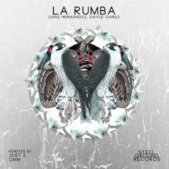 La Rumba by Dani Hernandez