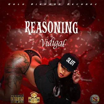 Reasoning by Vidigal