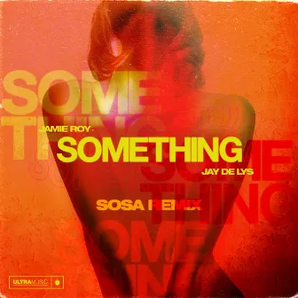 Something (Sosa Remix) by Jamie Roy