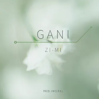 Zi-mi by Gani