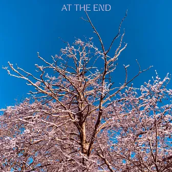 At the End by Fiskur