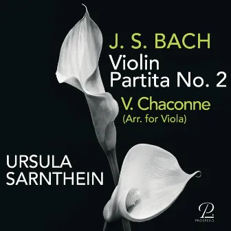 Violin Partita No. 2: V. Chaconne (Arr. for Viola) by Ursula Sarnthein