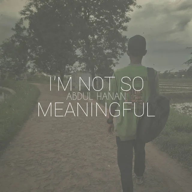 I'M Not So Meaningful