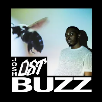 Buzz by Josh Dst