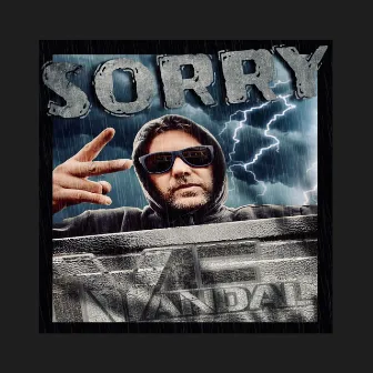 Sorry by MF VANDAL