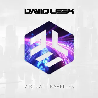 Virtual Traveller by David Leek