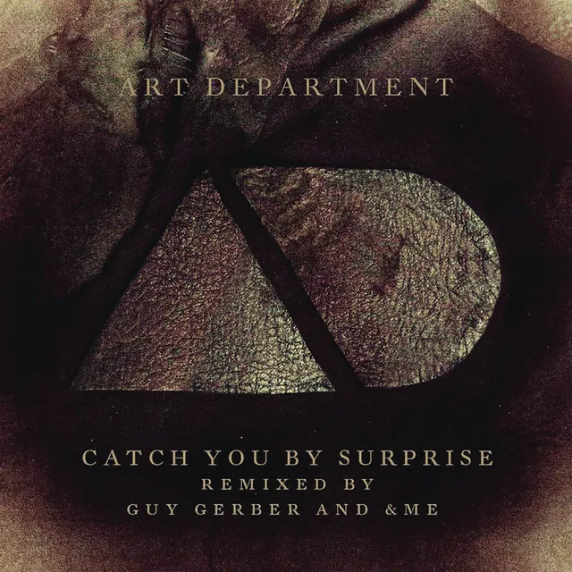 Catch You By Surprise - Guy Gerber Remix