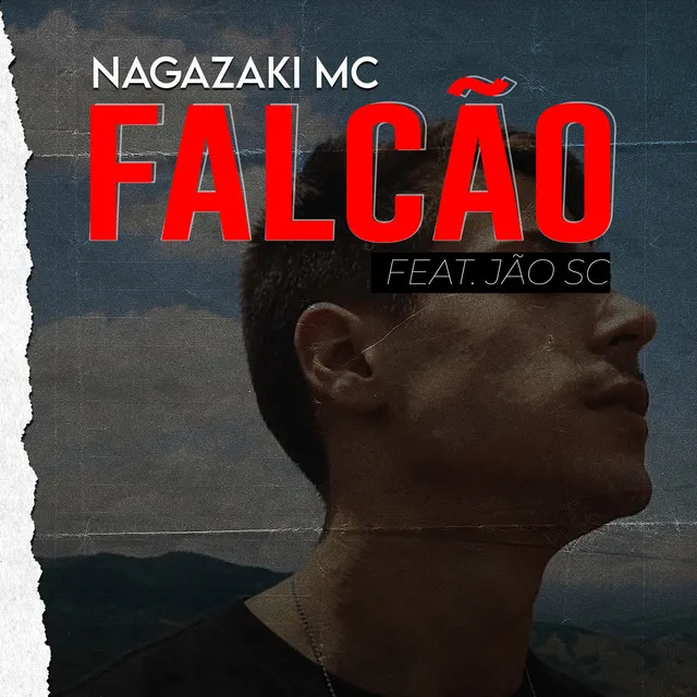 Falcão