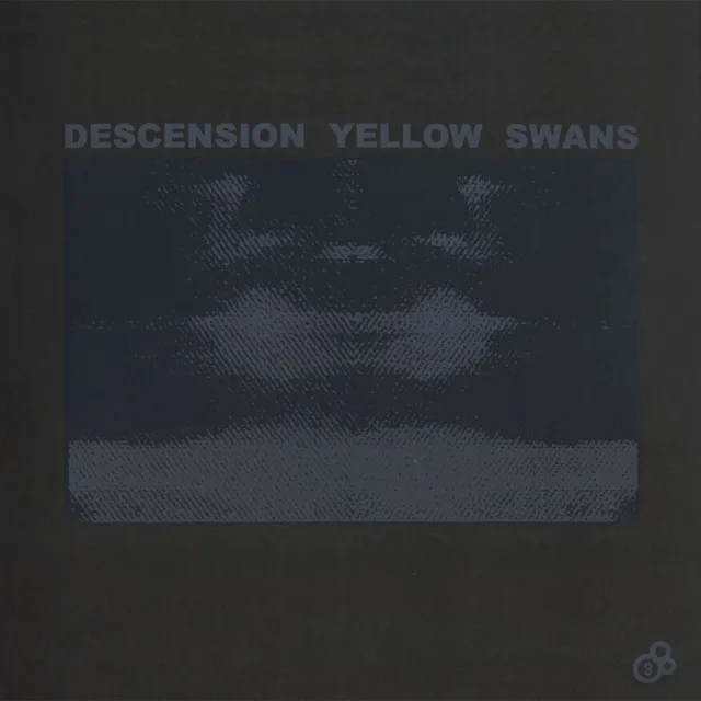 Descension Yellow Swans