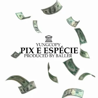 Pix e Espécie by yungcopy