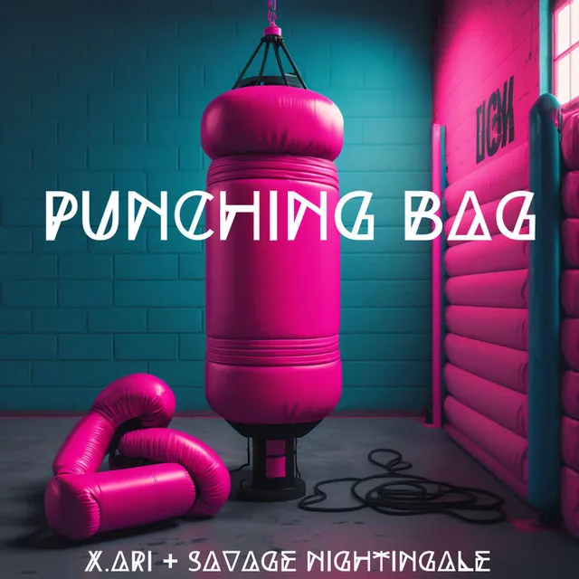 Punching Bag