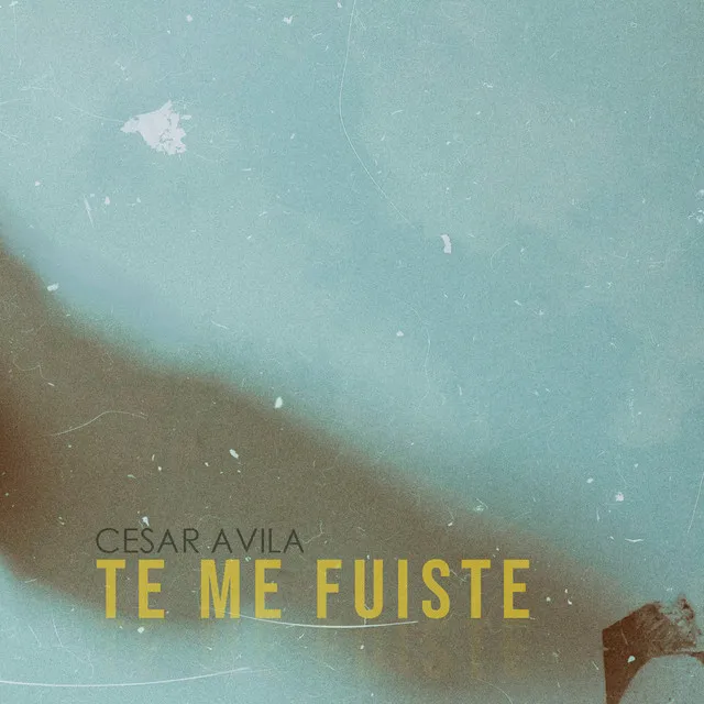 Te Me Fuiste