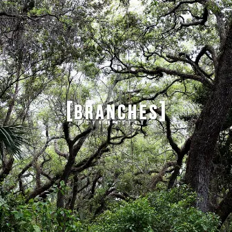 Branches by Dyna Edyne