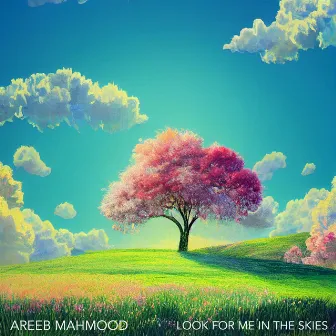 Look For Me In The Skies by Areeb Mahmood