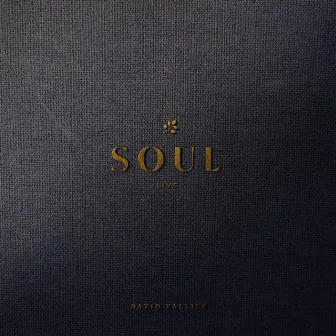 Soul by David Vallier