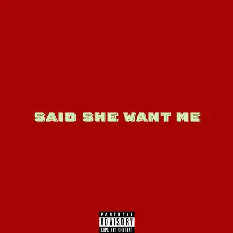 Said She Want Me by Travdidthat