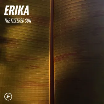 The Filtered Sun (Live) by Erika