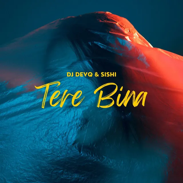 Tere Bina