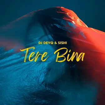 Tere Bina by Sishi