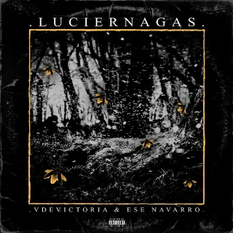 Luciérnagas by VdeVictoria