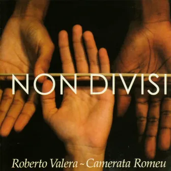 Non Divisi by Roberto Valera